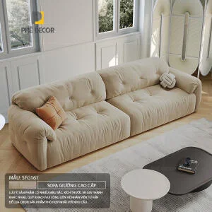 sofa-giuong-cao-cap-sfg161-2